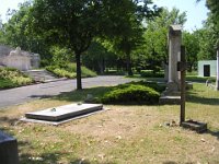 1-36 Waldblott báró